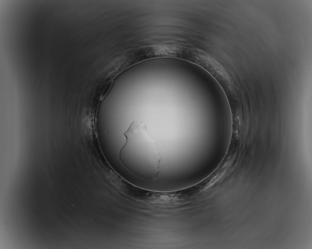 X0000093110329200710101026