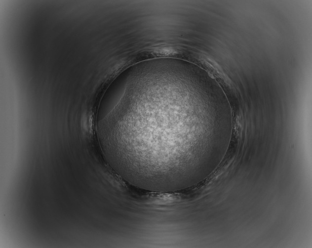 X0000093110330200710101026