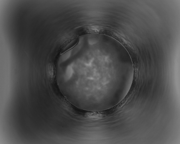 X0000093110331200710101026