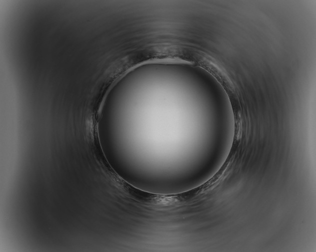 X0000093110333200710101026