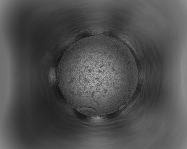 X0000093110335200710101026