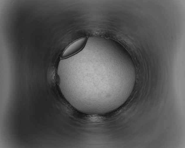 X0000093110336200710101026