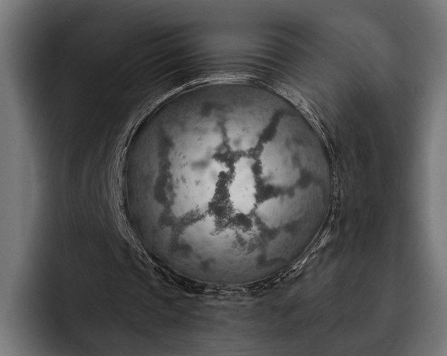 X0000093110337200710101026