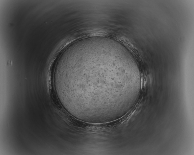 X0000093110339200710101026