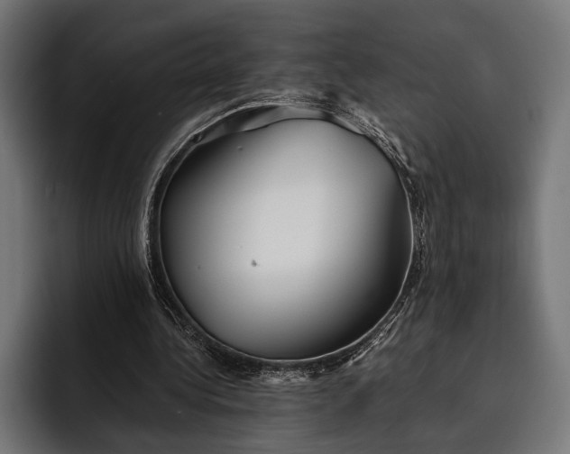 X0000093110340200710101026