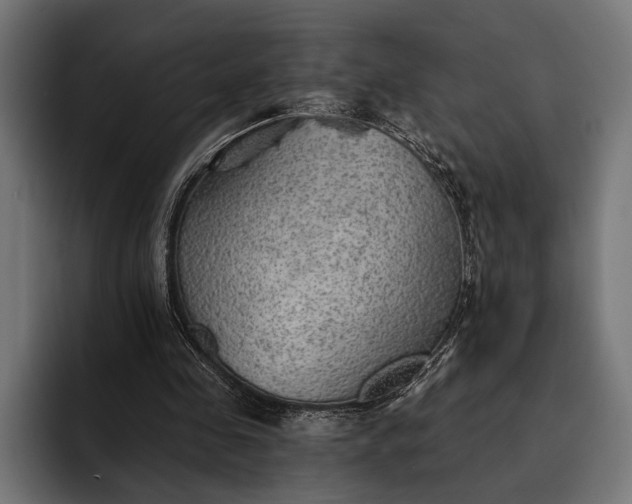 X0000093110341200710101026