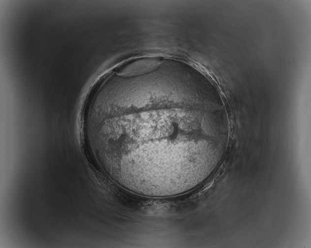 X0000093110343200710101026