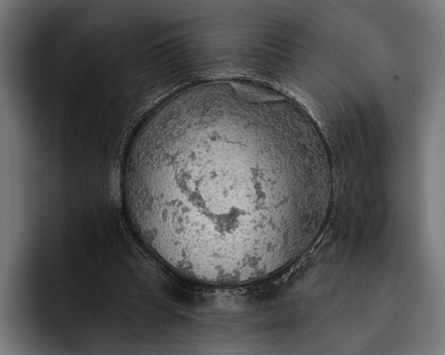 X0000093110345200710101026