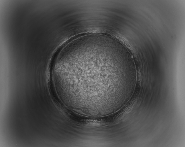 X0000093110347200710101026