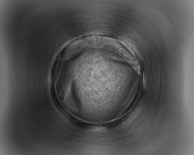 X0000093110348200710101026