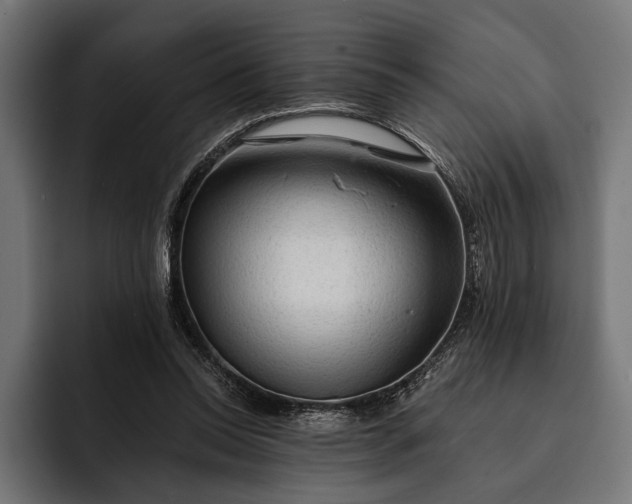 X0000093110350200710101026