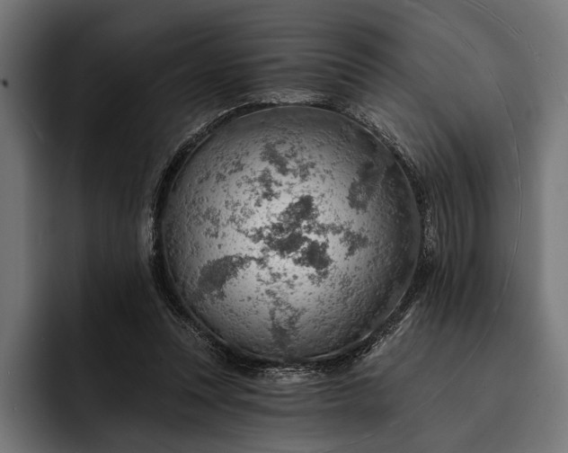 X0000093110351200710101026