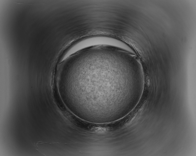 X0000093110352200710101026