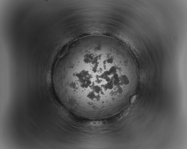 X0000093110353200710101026