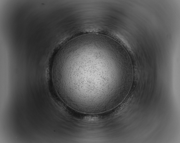 X0000093110354200710101026