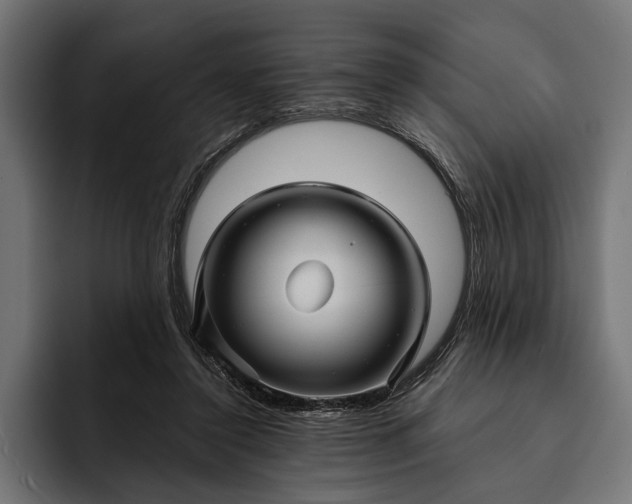 X0000093110356200710101026