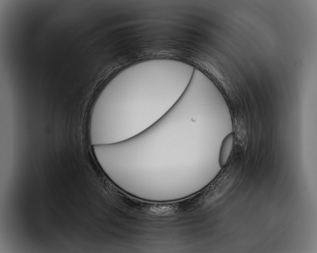 X0000093110357200710101026