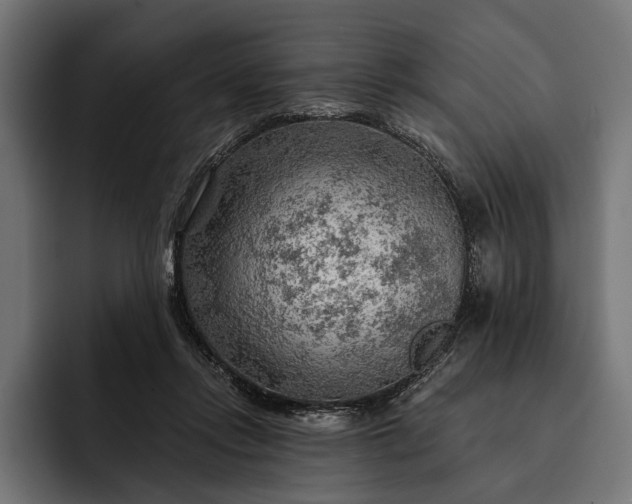 X0000093110358200710101026