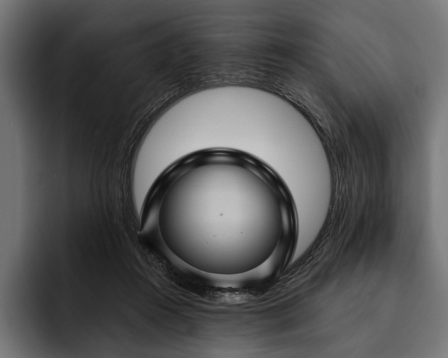 X0000093110360200710101026