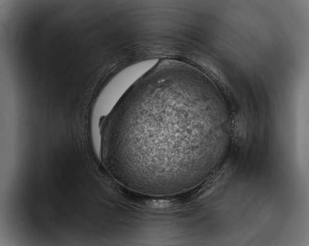 X0000093110361200710101026