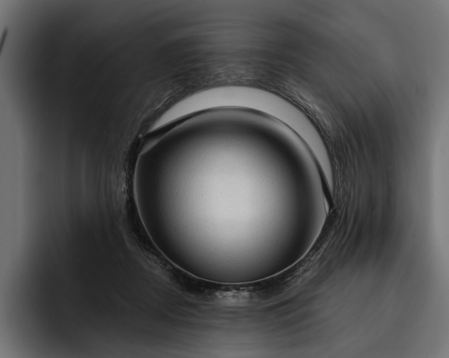 X0000093110362200710101026