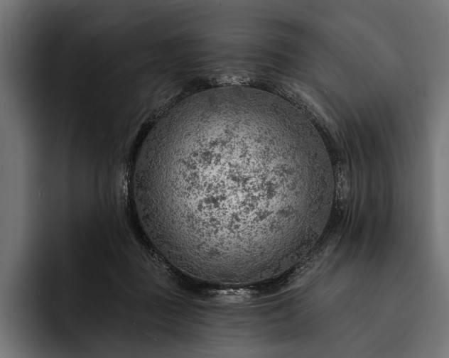 X0000093110363200710101026