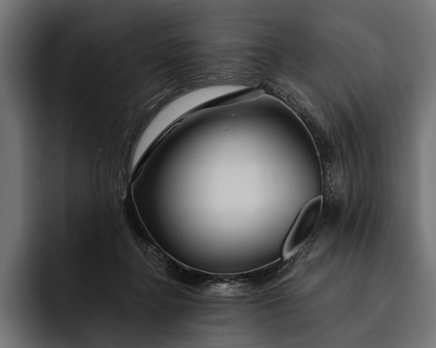 X0000093110364200710101026