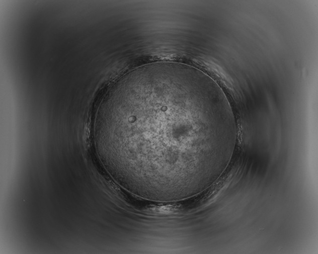 X0000093110365200710101026