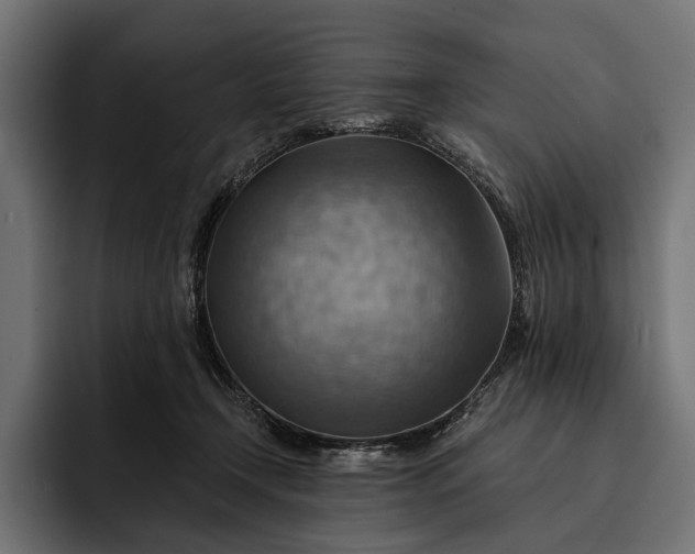 X0000093110366200710101026