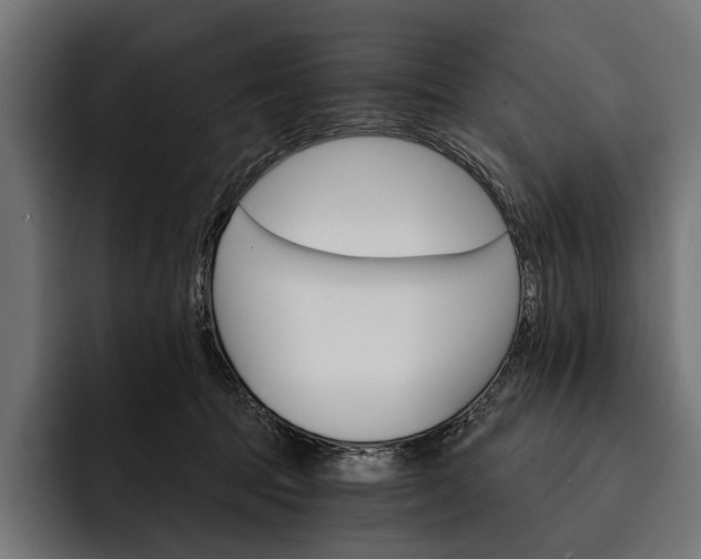 X0000093110369200710101026