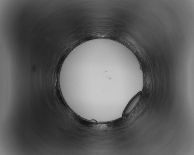 X0000093110374200710101026