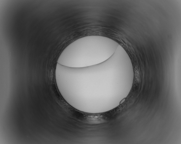 X0000093110375200710101026