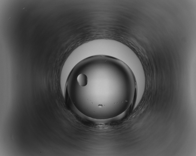 X0000093110376200710101026