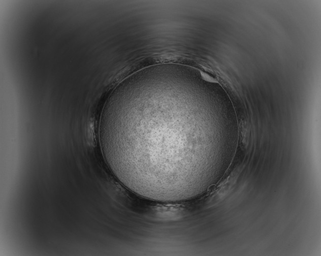 X0000093110378200710101026