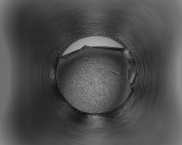 X0000093110380200710101026