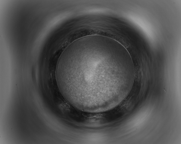 X0000093110382200710101026