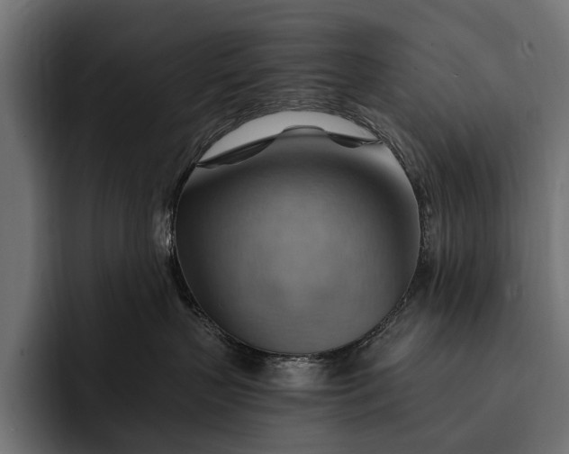 X0000093110383200710101026