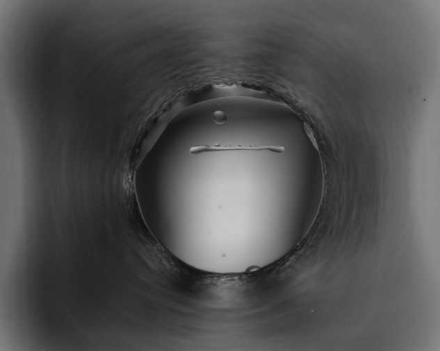 X0000093110384200710101026