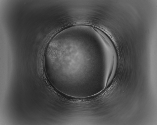 X0000093110385200710101026