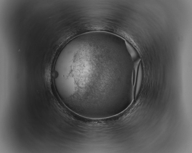 X0000093110386200710101026