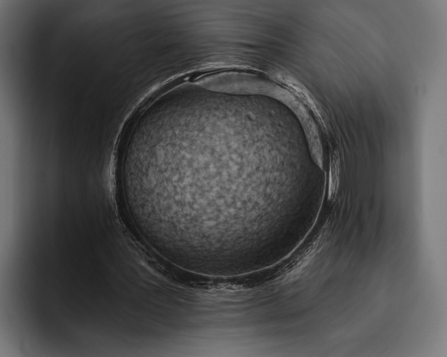 X0000093110387200710101026