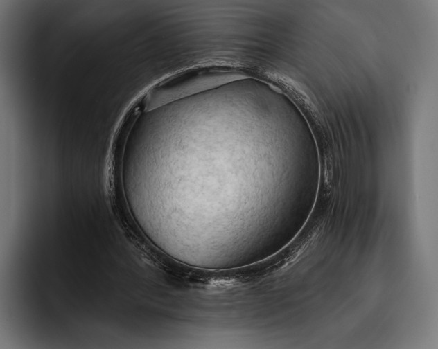 X0000093110388200710101026