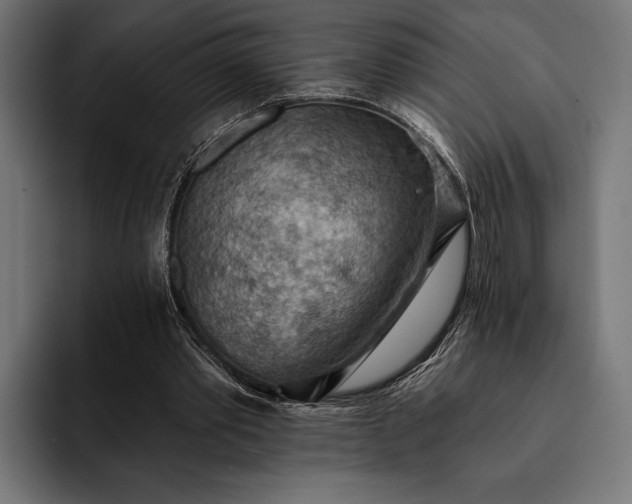 X0000093110389200710101026