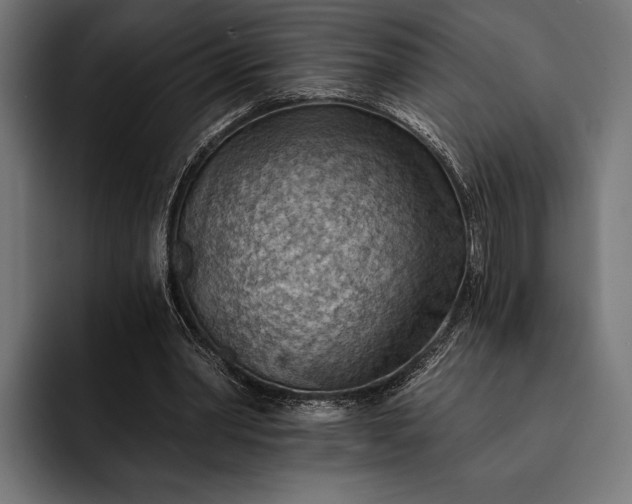 X0000093110390200710101025