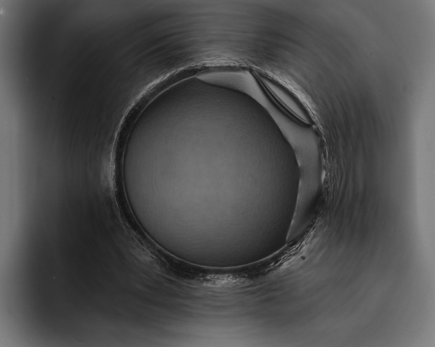 X0000093110391200710101025