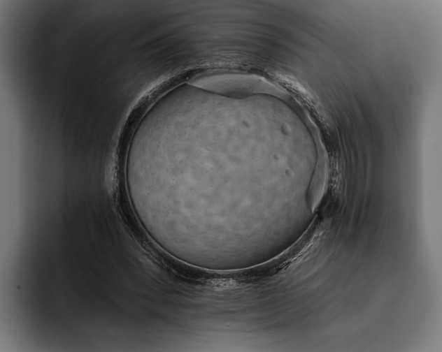 X0000093110392200710101025