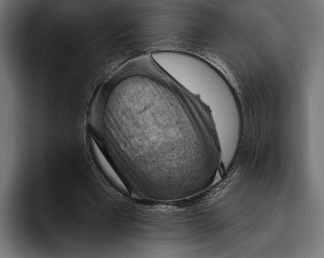 X0000093110393200710101025