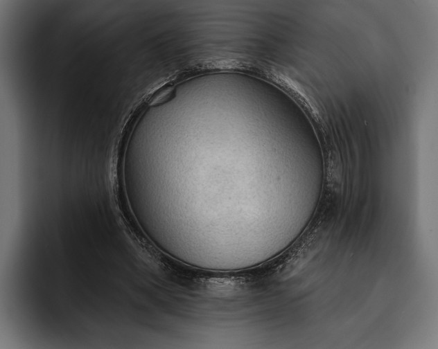 X0000093110394200710101025