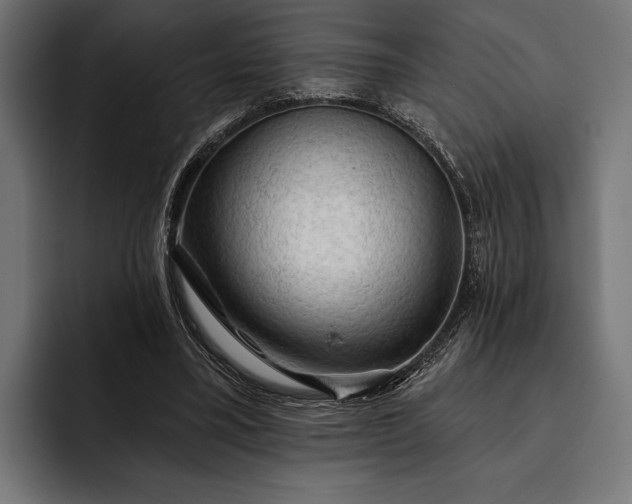 X0000093110395200710101025