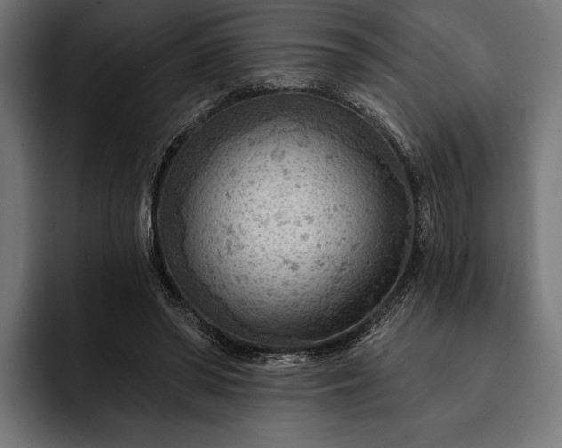 X0000093110398200710101025